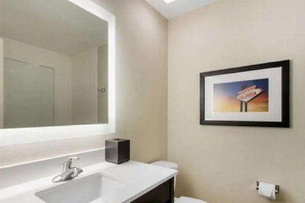Gallus Stadium Park Inn, Ascend Hotel Collection image 10